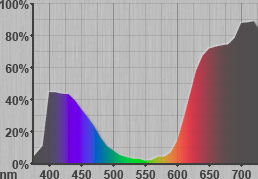 Spectrum of Bougainvillea