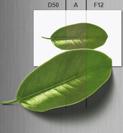 Effect of different light sources on leaf and print